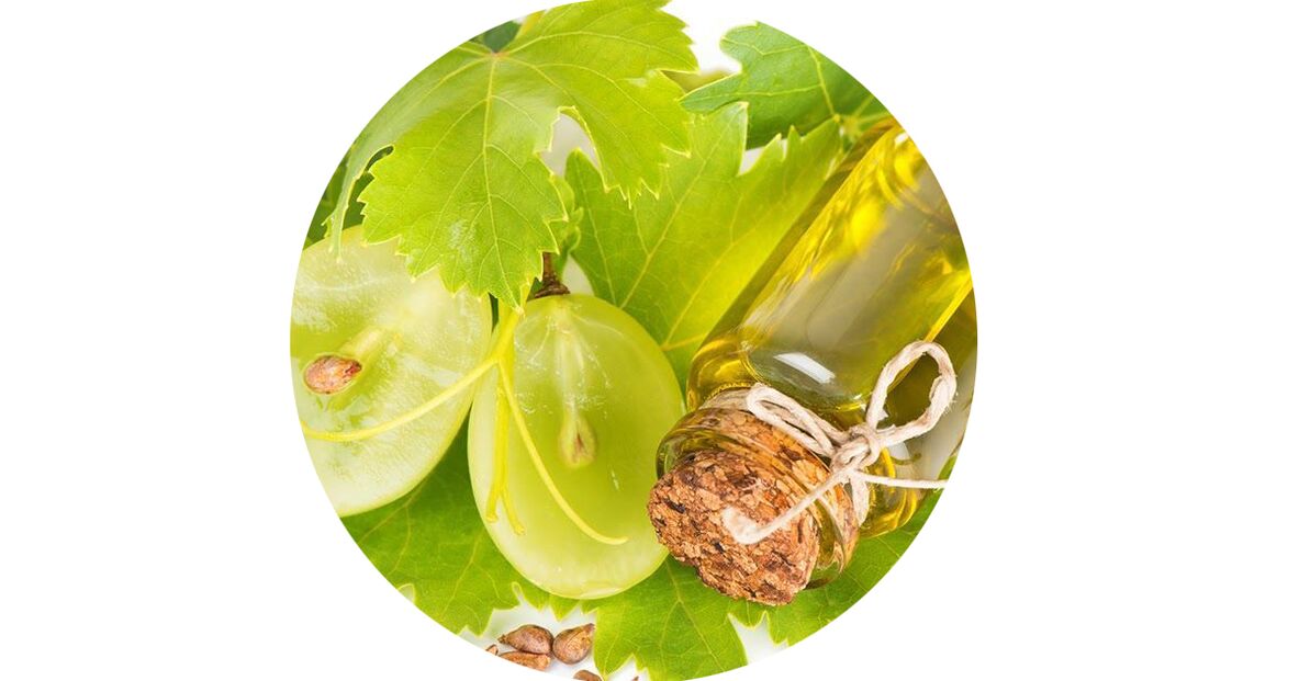Vīnogu ekstrakts - sastāvs Ostelife Premium Plus